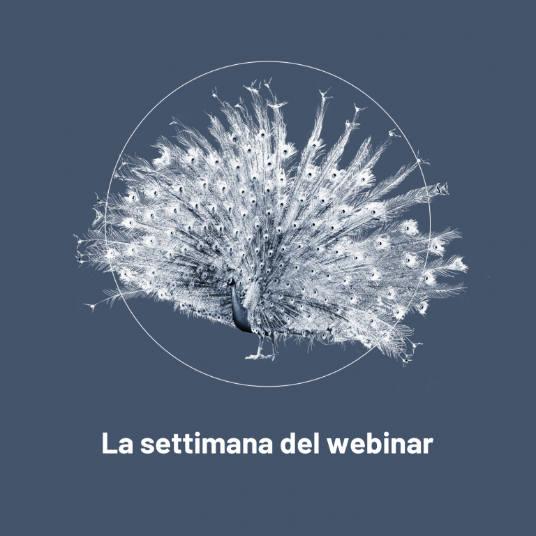 La settimana del webinar